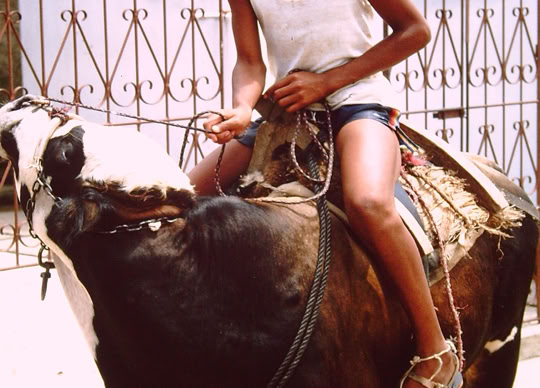 Santo Amaro da Purificação. Foto A.A.Bispo