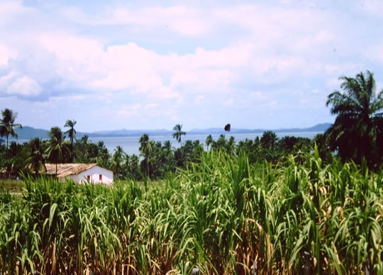 Santo Amaro da Purificação. Foto A.A.Bispo
