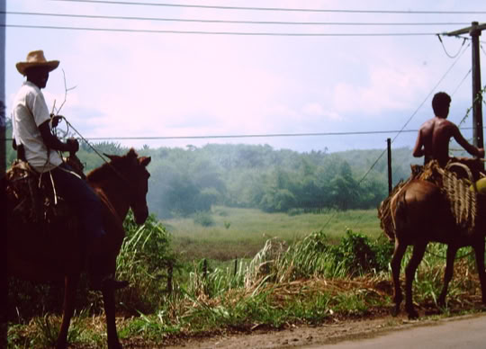 Santo Amaro da Purificação. Foto A.A.Bispo